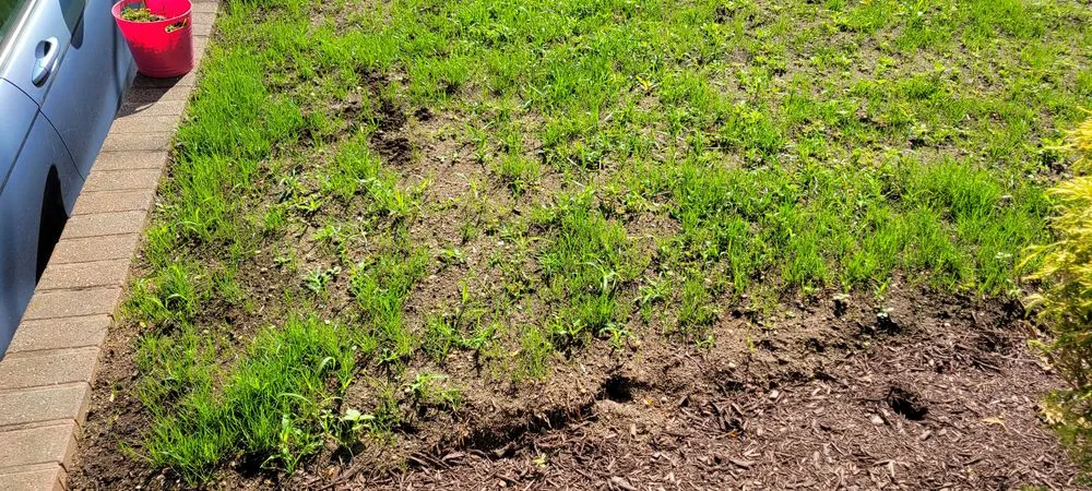 Top-rated residential landscaping experts serving Franklin Square, NY - Briella's Landscaping