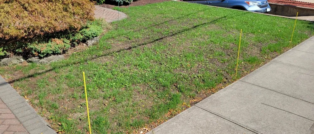 Reliable landscape installation for year-round maintenance across Franklin Square, NY - Briella's Landscaping