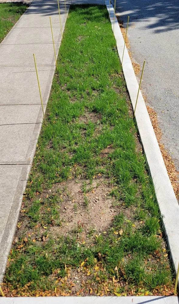 Trusted landscaping services near you in Franklin Square, NY by Briella's Landscaping