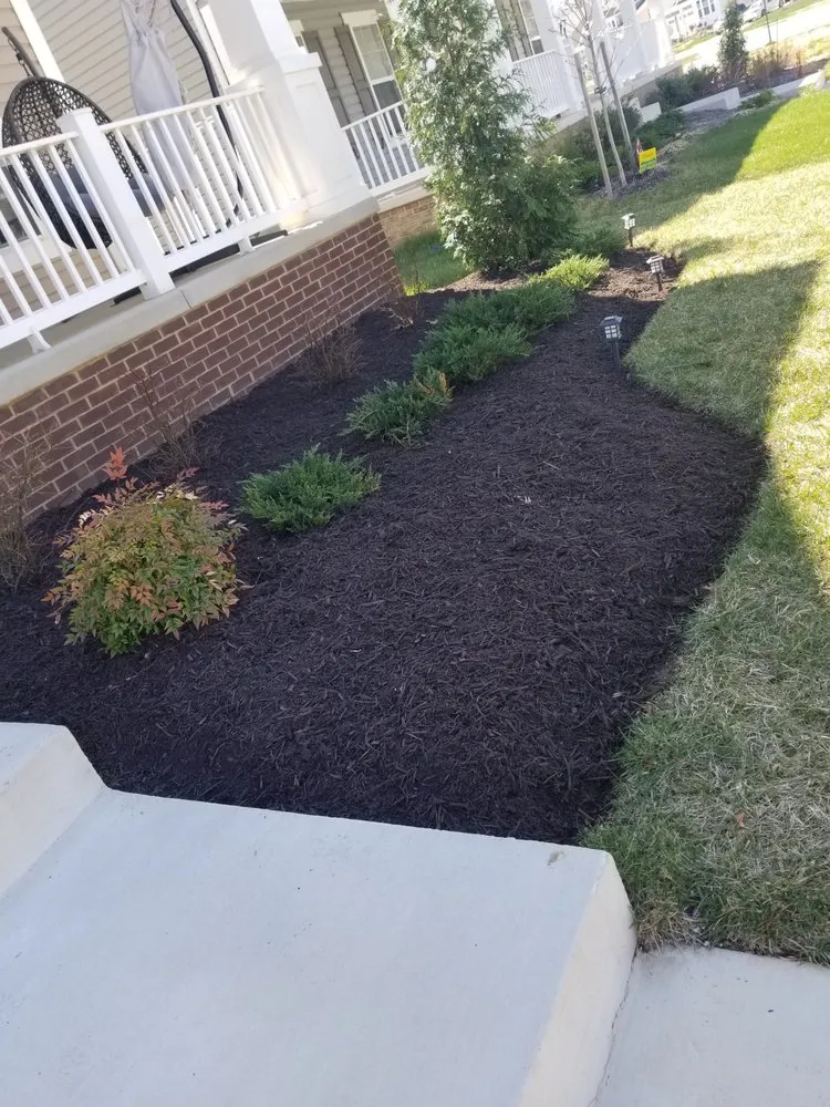 Professional landscape design in Stafford, VA - Brielle's Landscaping Service