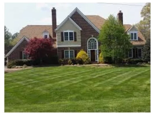 Trusted yard cleanup service experts serving Stafford, VA - Brielle's Landscaping Service