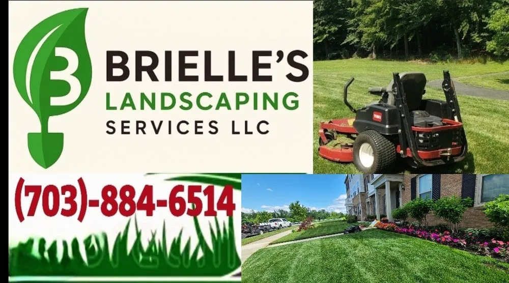 Expert yard cleanup service in Stafford, VA - Brielle's Landscaping Service