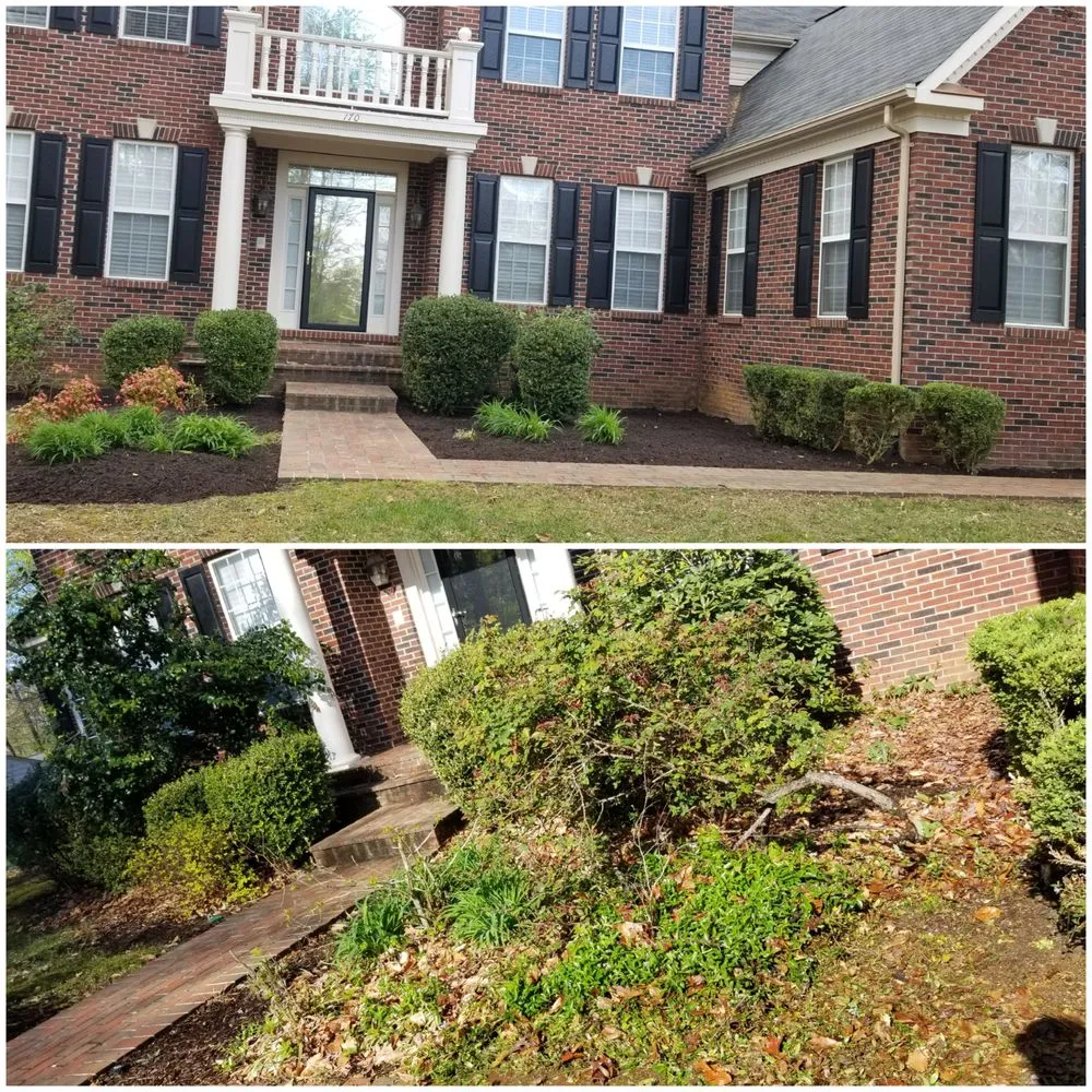 Expert landscaping services in Stafford, VA - Brielle's Landscaping Service