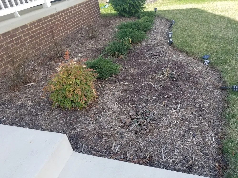 Affordable outdoor landscaping near you across Stafford, VA - Brielle's Landscaping Service