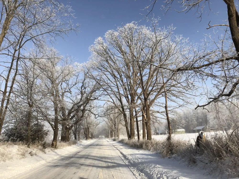 Reliable yard cleanup service in Milford, MI by Brien's Services
