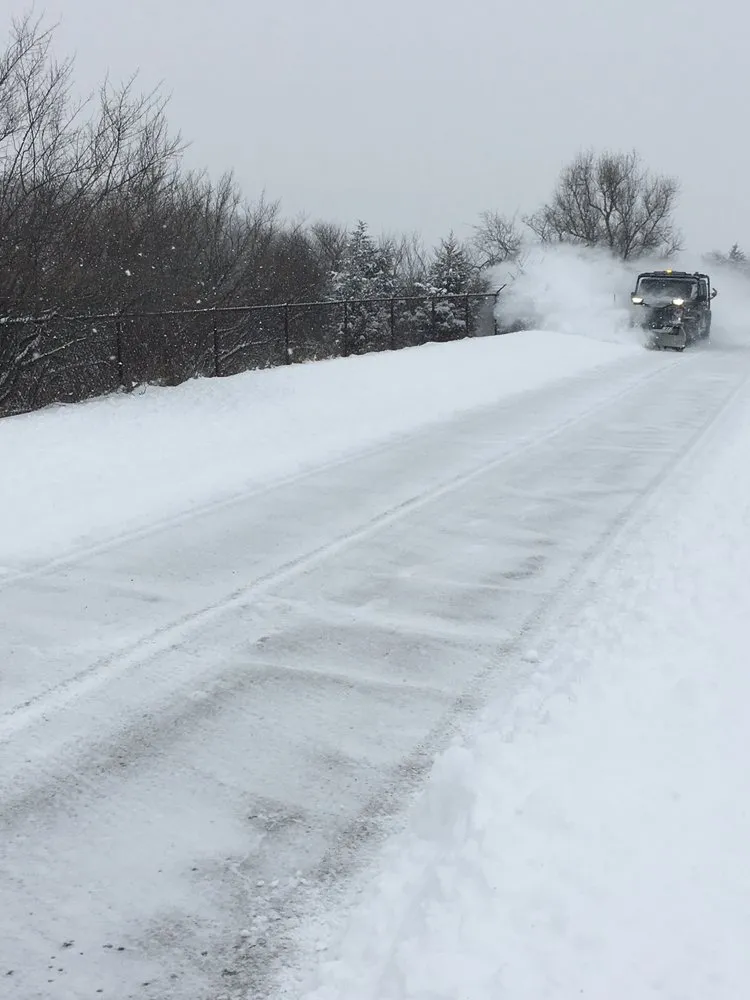 Reliable yard cleanup service in Milford, MI - Brien's Services