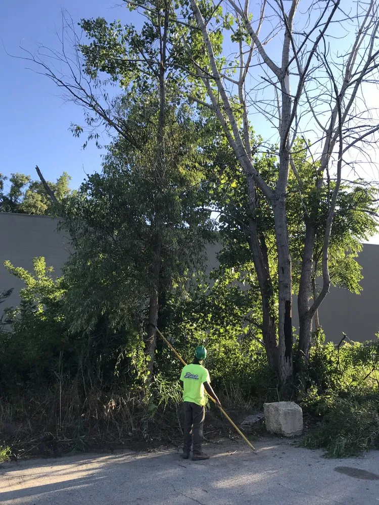 Trusted landscape design experts serving Milford, MI - Brien's Services