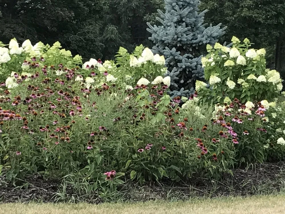 Custom lawn care service in Milford, MI - Brien's Services