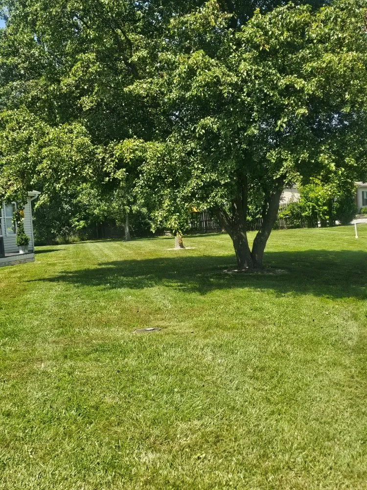 Trusted yard cleanup service in Mount Orab, OH - Brierly Lawn Care