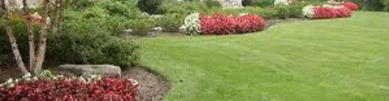 Trusted lawn care service in Vallejo, CA by Brigandi's Lawn Service