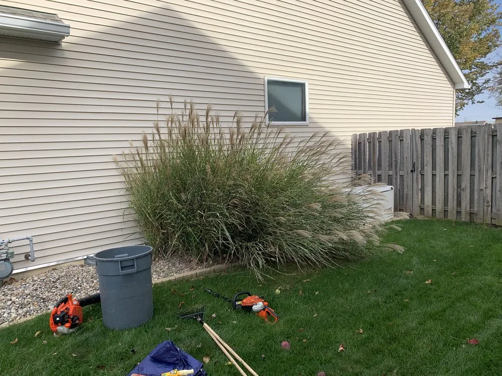 Affordable residential landscaping experts serving Springfield, IL - BRiggs Bushes