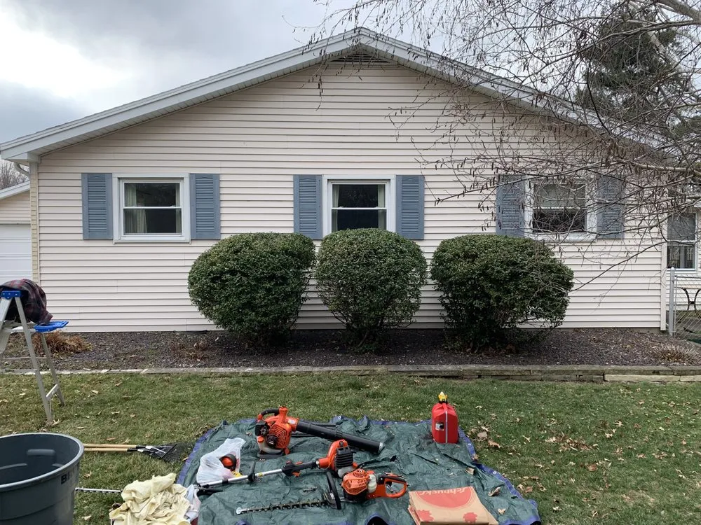 Custom yard maintenance in Springfield, IL by BRiggs Bushes