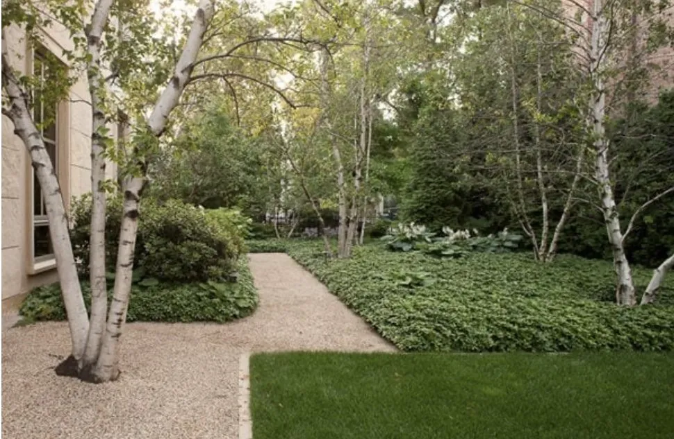 Top-rated yard cleanup service in Highlands Ranch, CO - Briggs Landscaping