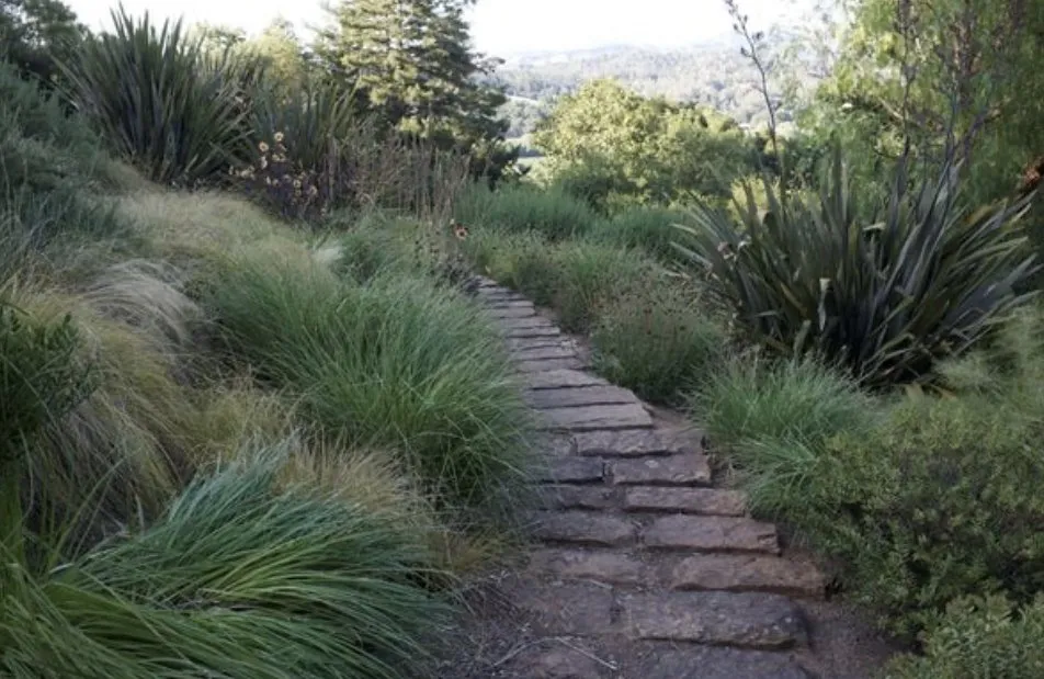 Custom residential landscaping in Highlands Ranch, CO by Briggs Landscaping