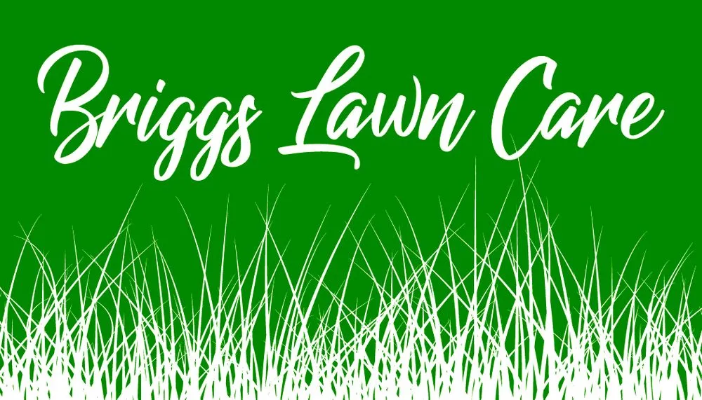 Expert yard cleanup service for homes in Columbus, OH by Briggs Lawn Care