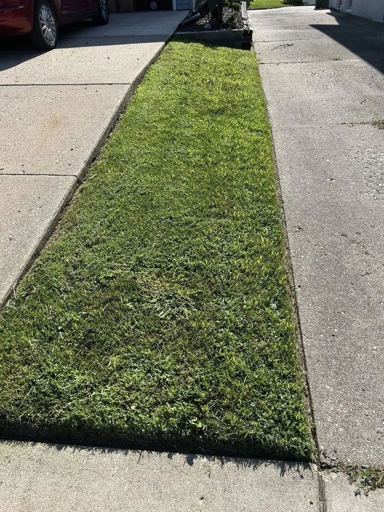 Expert yard cleanup service experts serving Davenport, IA - Briggs Mowing & Lawncare