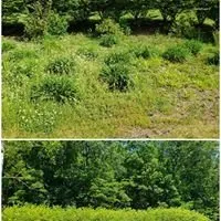 Affordable landscape installation for year-round maintenance across Lilly, PA - Briggs Outdoor Care