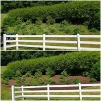 Custom yard cleanup service for outdoor upgrades in Lilly, PA by Briggs Outdoor Care