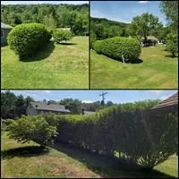 Custom landscape installation with custom design in Lilly, PA by Briggs Outdoor Care