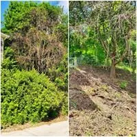Reliable residential landscaping for beautiful yards in Lilly, PA by Briggs Outdoor Care