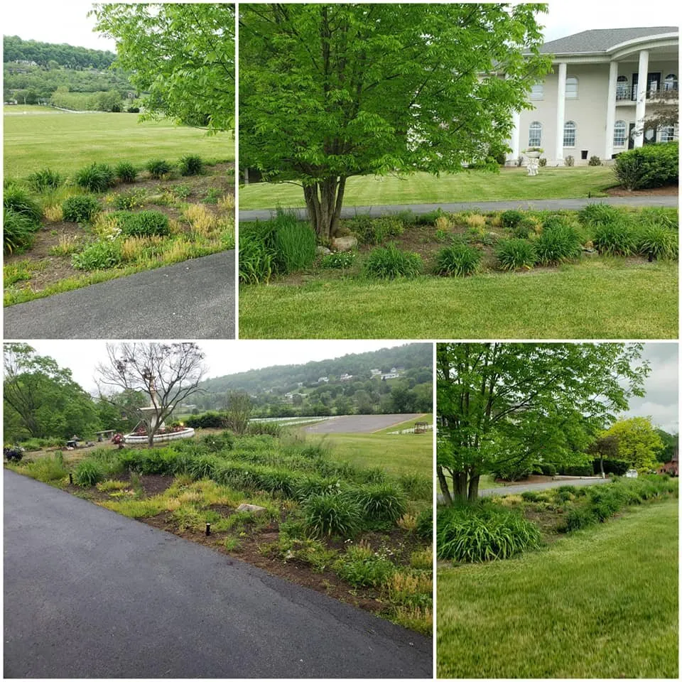 Expert landscape design for year-round maintenance across Lilly, PA - Briggs Outdoor Care