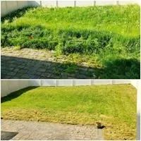 Trusted yard maintenance near you across Lilly, PA - Briggs Outdoor Care