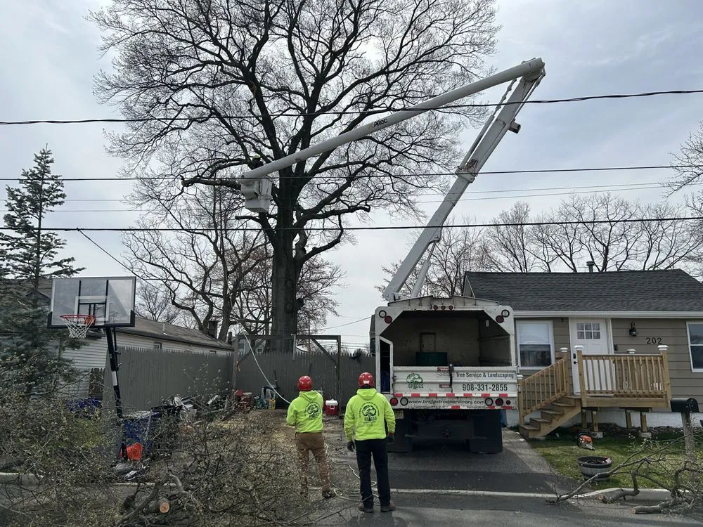 Expert garden landscaping in Freehold, NJ - Briggs Tree Service & Landscaping