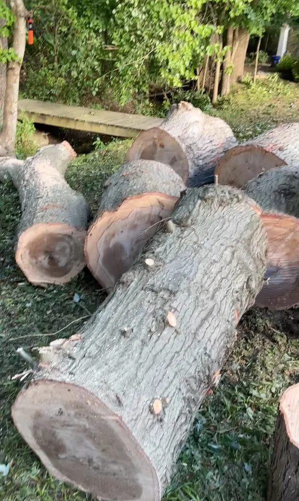 Local landscape installation for outdoor upgrades in Freehold, NJ by Briggs Tree Service & Landscaping