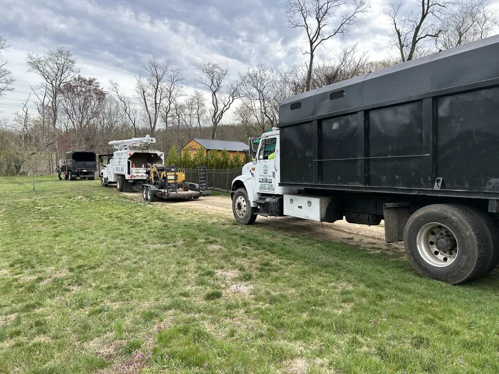 Trusted landscape design in Freehold, NJ by Briggs Tree Service & Landscaping