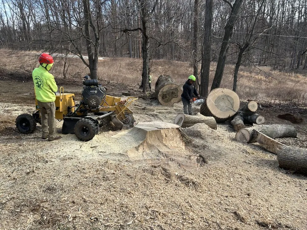 Custom outdoor landscaping in Freehold, NJ - Briggs Tree Service & Landscaping