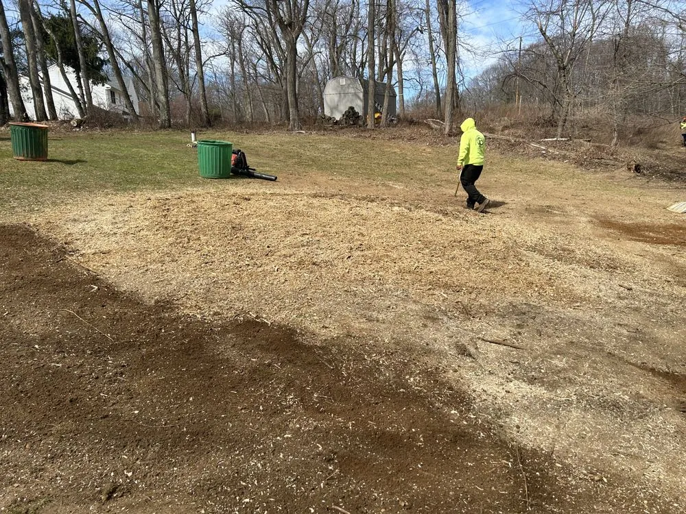 Professional lawn mowing service experts serving Freehold, NJ - Briggs Tree Service & Landscaping