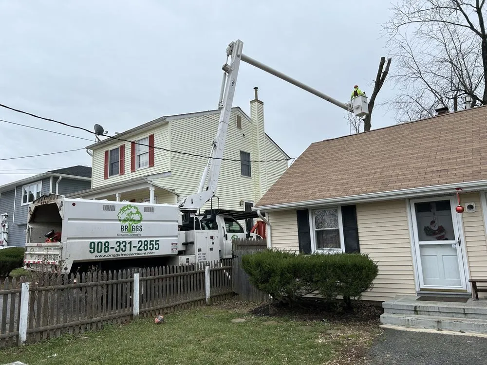 Local lawn care service in Freehold, NJ by Briggs Tree Service & Landscaping