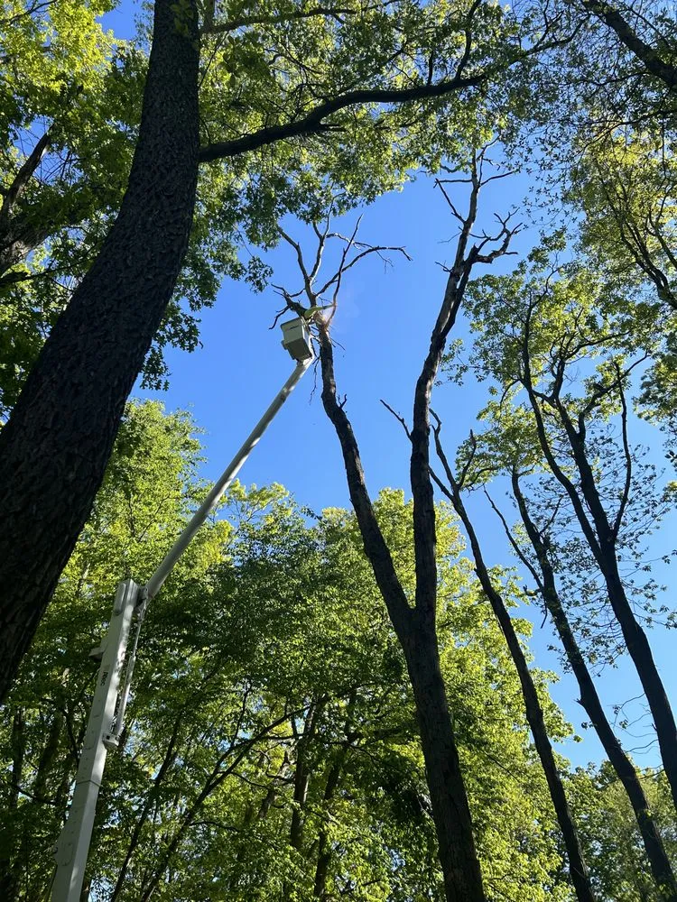 Top-rated residential landscaping with custom design across Freehold, NJ - Briggs Tree Service & Landscaping