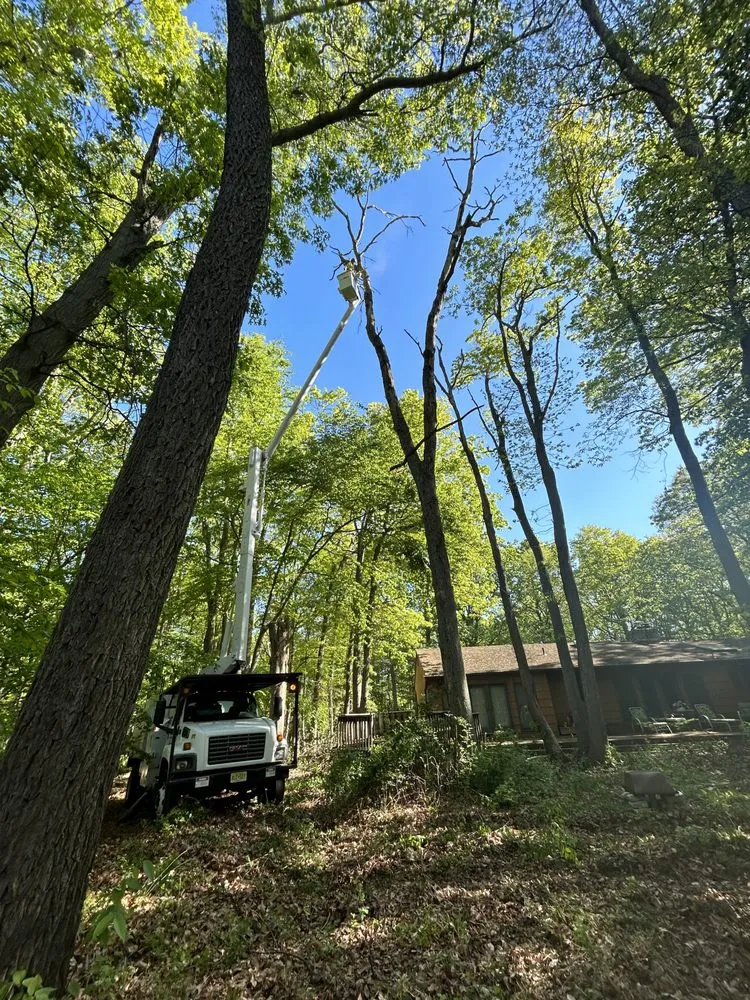 Professional lawn mowing service in Freehold, NJ by Briggs Tree Service & Landscaping