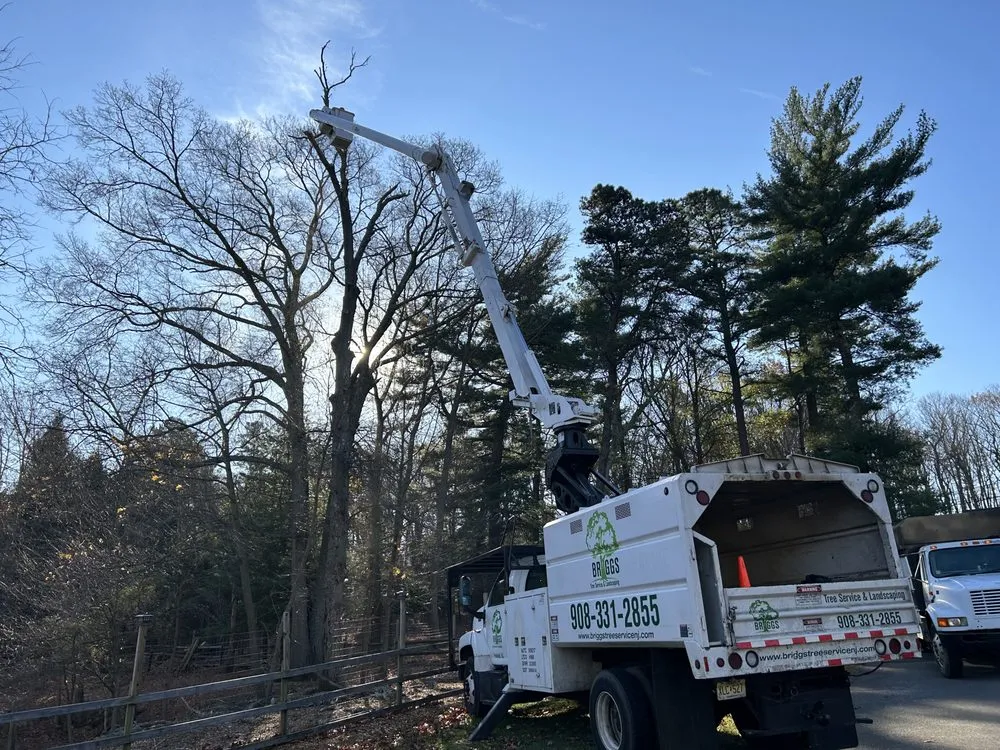 Professional garden landscaping in Freehold, NJ by Briggs Tree Service & Landscaping