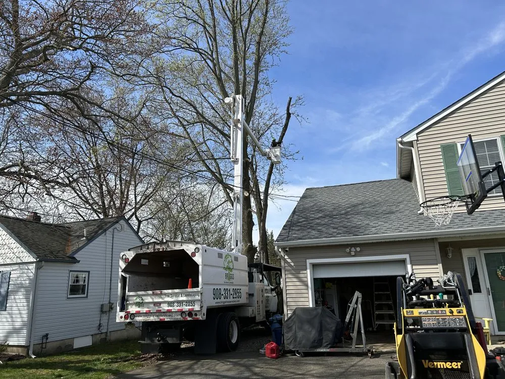 Custom yard cleanup service for outdoor upgrades in Freehold, NJ by Briggs Tree Service & Landscaping