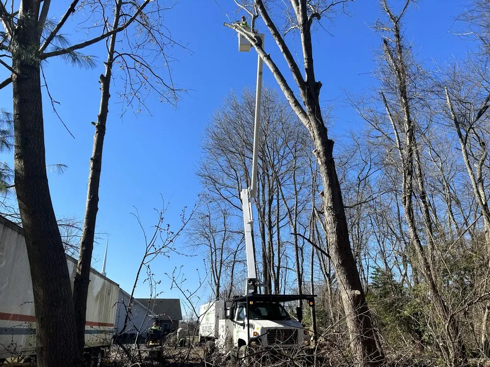 Reliable landscape design experts serving Freehold, NJ - Briggs Tree Service & Landscaping