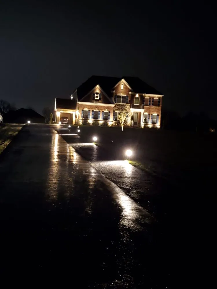 Reliable yard cleanup service in Adelphi, MD - Bright And Green