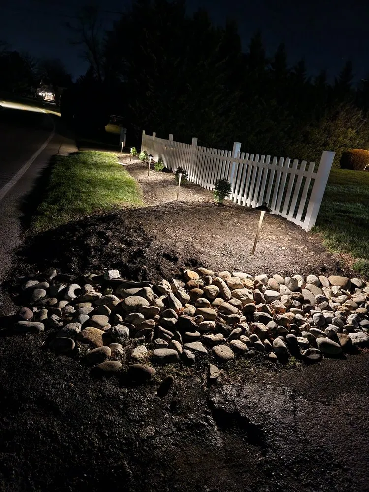 Top-rated yard cleanup service in Adelphi, MD by Bright And Green