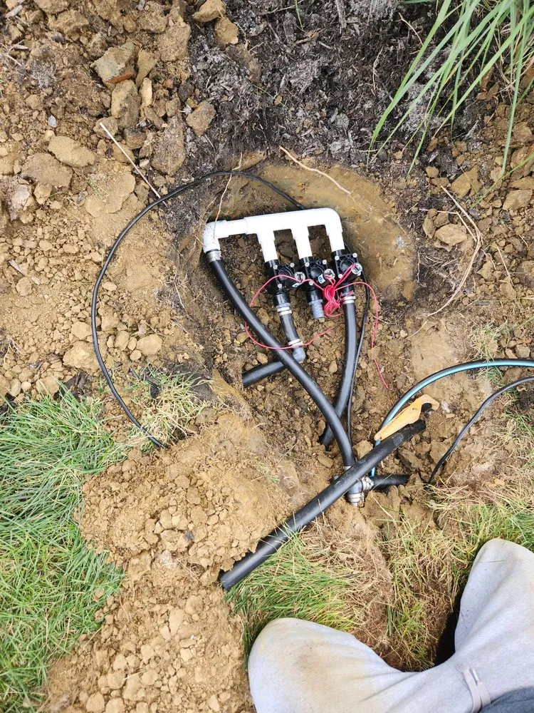 Expert garden landscaping for homes across Adelphi, MD - Bright And Green