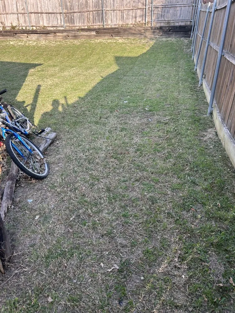 Trusted landscaping services for homes across McKinney, TX - Bright Beginnings Landscapes