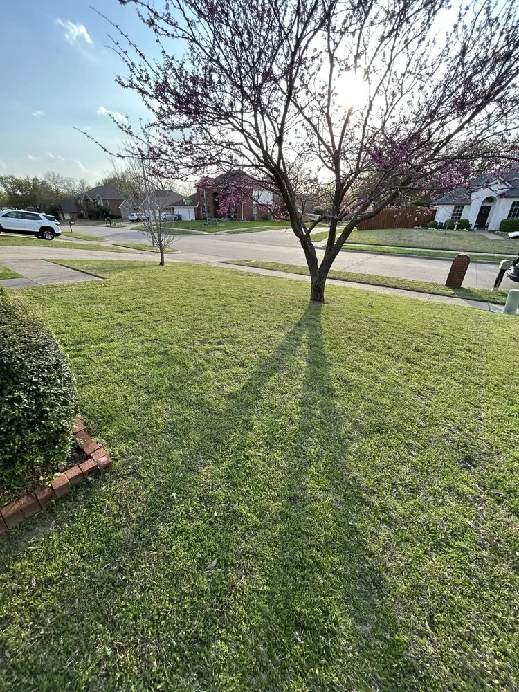 Custom landscaping services near you across McKinney, TX - Bright Beginnings Landscapes