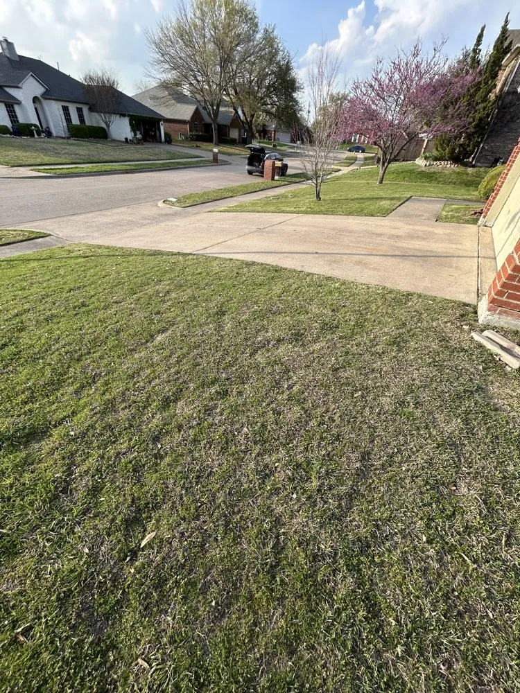 Top-rated landscaping services experts serving McKinney, TX - Bright Beginnings Landscapes