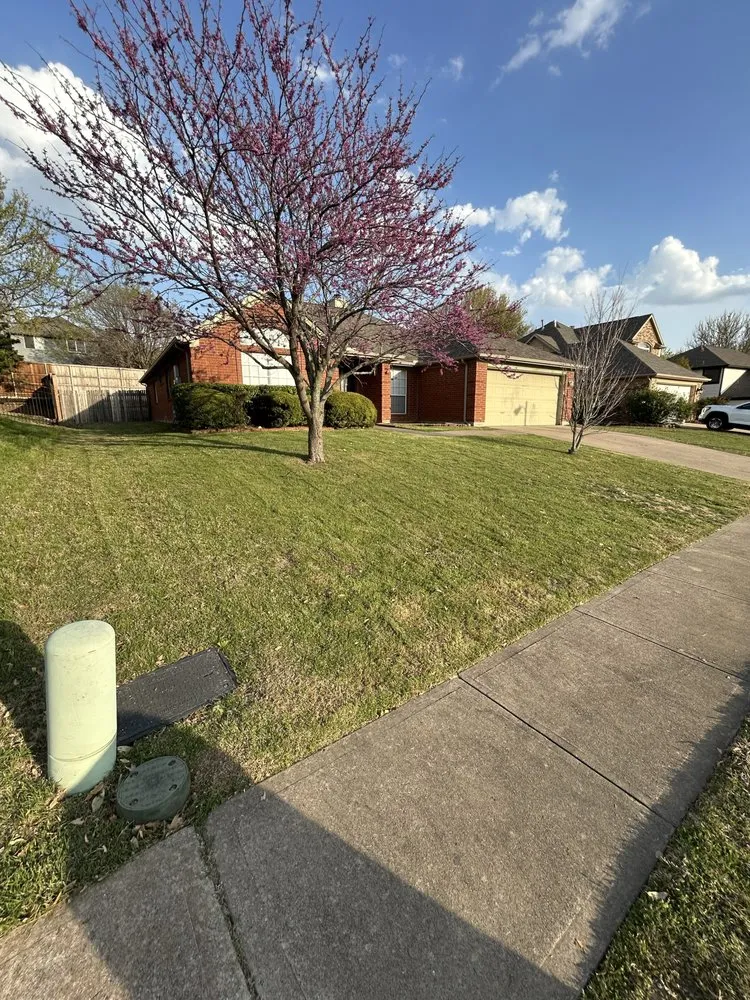 Top-rated yard cleanup service in McKinney, TX by Bright Beginnings Landscapes