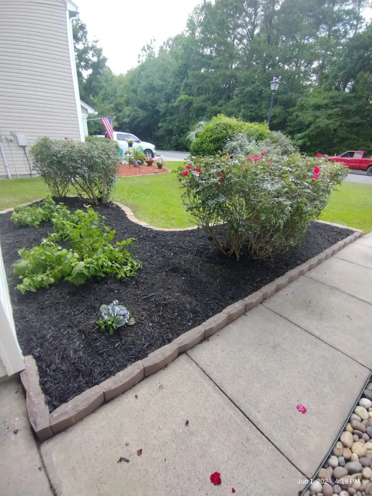 Professional yard cleanup service experts serving Knightsville, SC - Bright Built