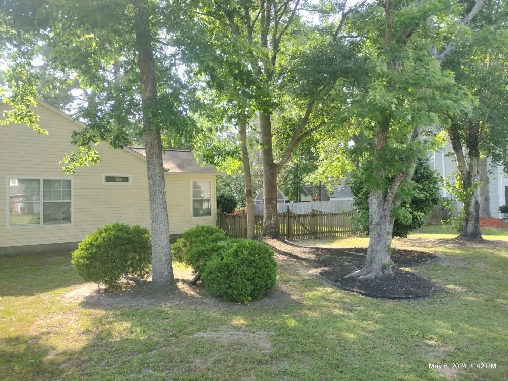 Custom lawn care service for beautiful yards in Knightsville, SC by Bright Built