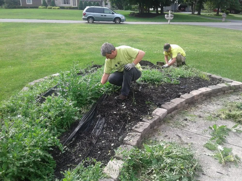 Reliable lawn mowing service in Whitehall, OH - Bright Day Landscape & Home Services