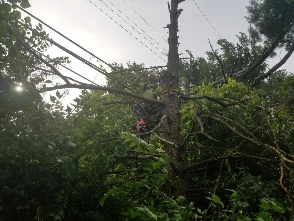 Local lawn care service with custom design in Whitehall, OH by Bright Day Landscape & Home Services