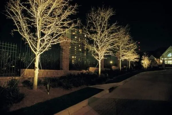 Bright Day Landscape & Home Services