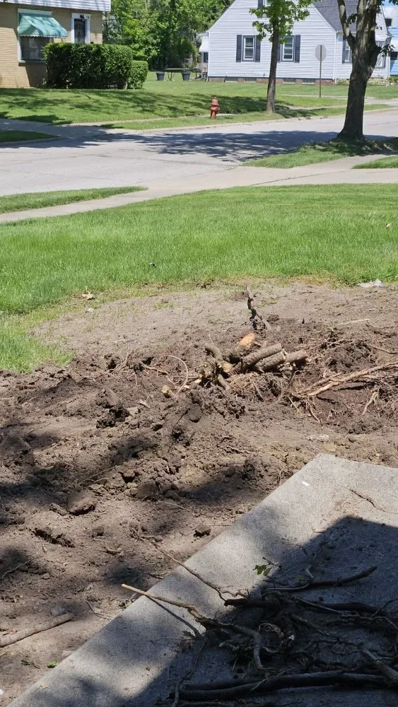 Local landscape design in Warrensville Heights, OH by Bright Diamond